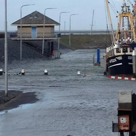 Het De Wadden Den Oever