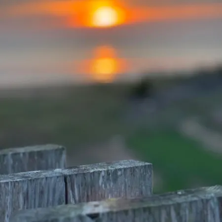 Het De Wadden Den Oever