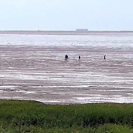Het De Wadden Den Oever