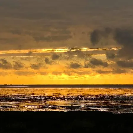Het De Wadden