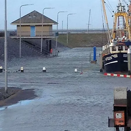 Het De Wadden Den Oever