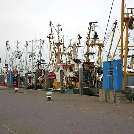 Het De Wadden