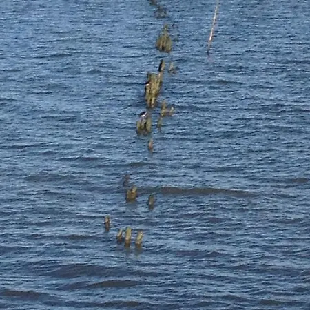 Panzió Het De Wadden