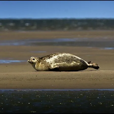 Panzió Het De Wadden Den Oever