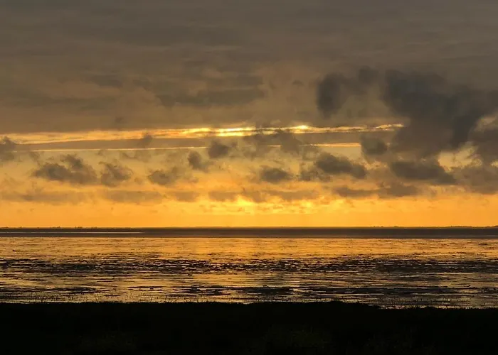 Bed & Breakfast Het De Wadden 3*