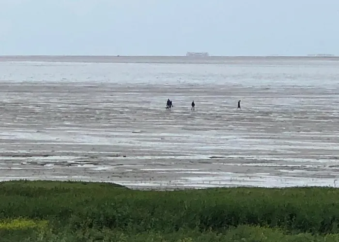 Bed & Breakfast Het De Wadden