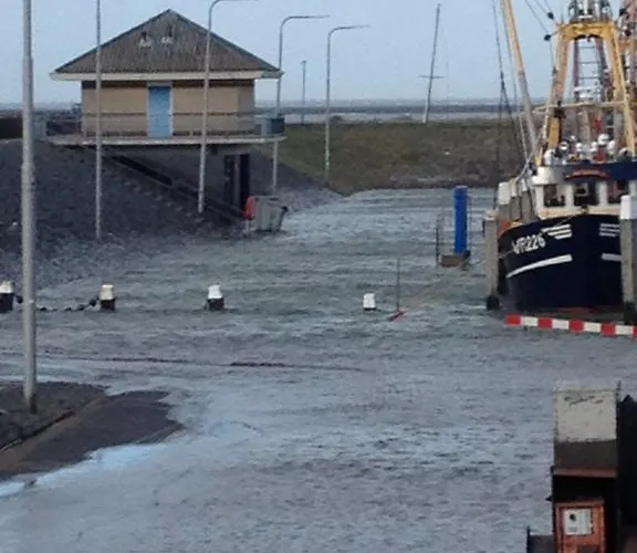 Het De Wadden Den Oever