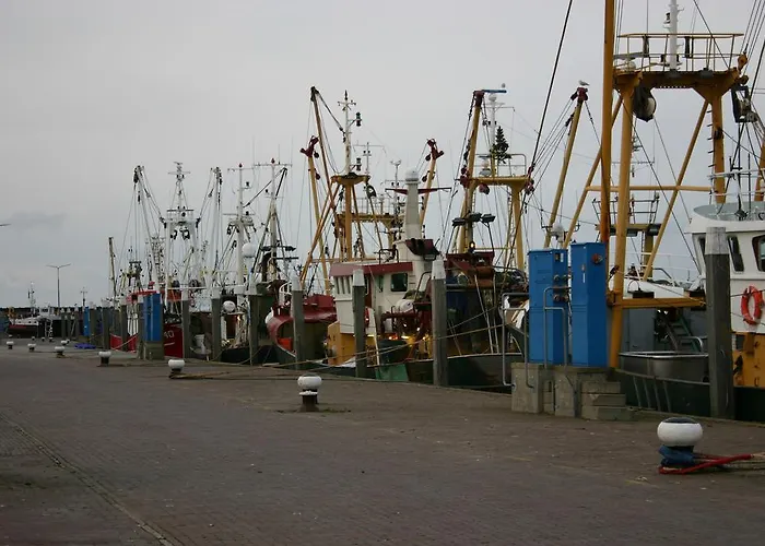 Het De Wadden Bed & Breakfast