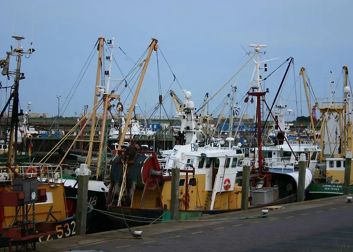 Het De Wadden Bed & Breakfast 3*