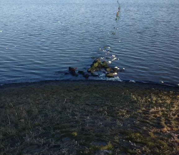 Het De Wadden Bed & Breakfast Den Oever