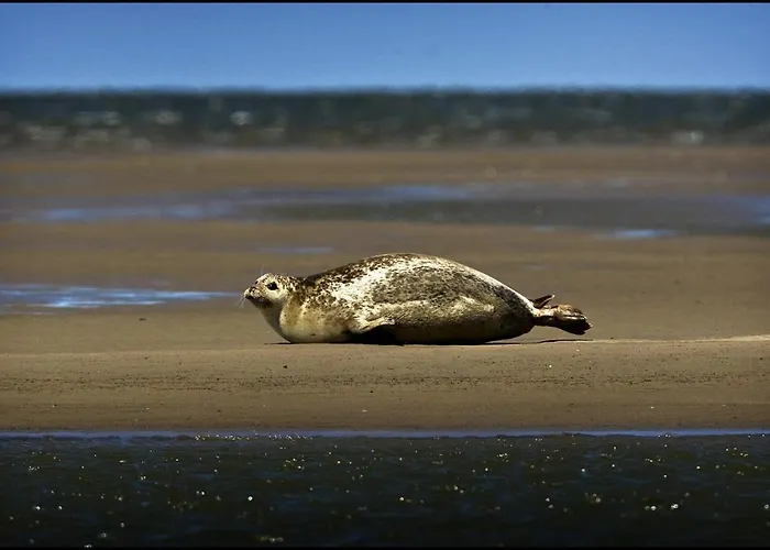 Bed & Breakfast Het De Wadden Den Oever